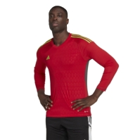 adidas Tiro 23 Competition Long Sleeve Goalkeeper Jersey