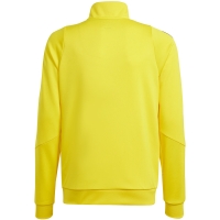 Children's sweatshirt adidas Tiro 24 Training yellow IR9507