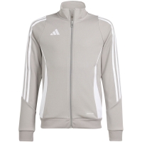 Sweatshirt for children adidas Tiro 24 Training gray IR9508