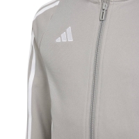 Sweatshirt for children adidas Tiro 24 Training gray IR9508