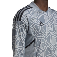 Adidas Condivo 22 Goalkeeper Jersey Long Slevee men's goalkeeper shirt, gray HB1614