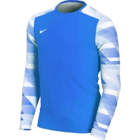 Goalkeeper jersey Nike Dry Park IV JSY LS GK JUNIOR blue CJ6072 463