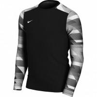 Nike Dry Park IV JSY LS GK JUNIOR children's goalkeeper jersey black CJ6072 010