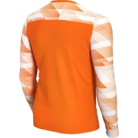 Goalkeeper jersey Nike Dry Park IV JSY LS GK JUNIOR orange CJ6072 819