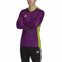 Goalkeeper adidas AdiPro 20 Goalkeeper Jersey Longsleeve purple FI4194