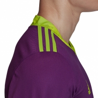 Goalkeeper adidas AdiPro 20 Goalkeeper Jersey Longsleeve purple FI4194