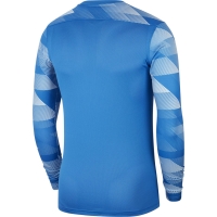 Nike Dry Park IV JSY LS GK Blue Goalkeeper Shirt CJ6066 463