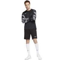 Nike Dry Park IV JSY LS GK Goalkeeper Shirt black CJ6066 010