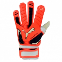 GOVERNMENT GLOVES PUMA EVO POWER GRIP 2 AQUA 41145 30