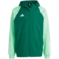 Men's adidas Tiro 23 Competition All Weather jacket green IC4570