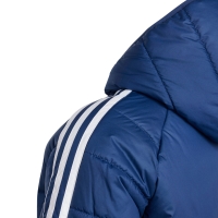 Children's jacket adidas Tiro 24 Winter blue IR9501