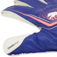 Puma Ultra Match RC goalkeeper gloves blue 41951 01