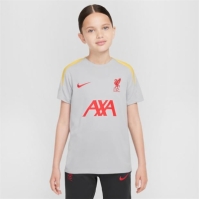 Nike Liverpool Strike Third Top 2024 2025 Juniors