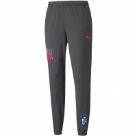 Spodnie męskie Puma Neymar Jr Futebol Training Pant szare 605600 07