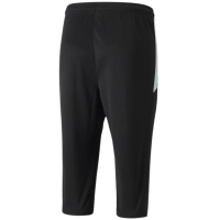 Puma teamLIGA Training 3/4 Pants 657271 03