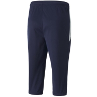 Puma teamLIGA Training 3/4 Pants navy blue 657271 06