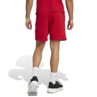 adidas Bayern Munich DNA Shorts 2024 2025 Adults