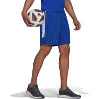 adidas Mens Sereno Training Shorts