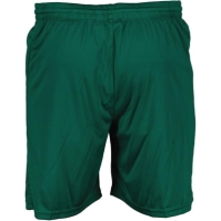 Hummel Poly Shorts In99