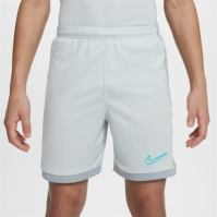 Nike Academy Shorts Junior Boys