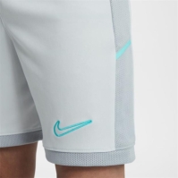 Nike Academy Shorts Junior Boys