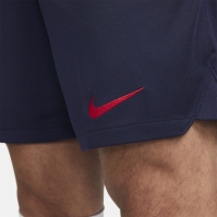 Nike Croatia Away Shorts 2022 Adults