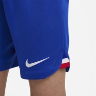 Nike Fff 2022/23 Stadium Away Big Kids Dri-Fit Soccer Shorts Football Short Unisex Kids