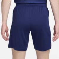 Nike Netherlands Away Shorts 2024 Adults