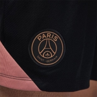 Nike Paris Saint-Germain Strike Third Shorts 2024 2025 Adults