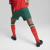 Puma Portugal Home Shorts 2025 Juniors