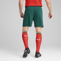 Puma Portugal Home Shorts 2025 Adults