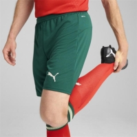 Puma Portugal Home Shorts 2025 Adults