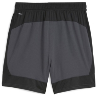 Puma Pro Shorts