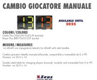 CAMBIO GIOCATORE MANUALE