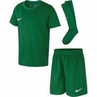 Nike DRY Park Kit Set green CD2244 302