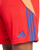 Men's shorts adidas Tiro 24 red IT2416