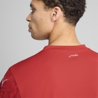 Puma Egypt Home Shirt 2025 Adults