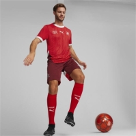 Puma Switzerland Home Shirt 2024 Adults