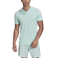 Men's T-shirt adidas Condivo 22 Jersey mint HD2271