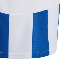 adidas Striped 24 T-shirt for children white and blue IW2134