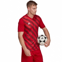 Koszulka męska adidas Entrada 22 Graphic Jersey czerwono-bordowa HB0572