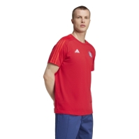 adidas FC Bayern Munich DNA T-Shirt 2024 2025 Adults