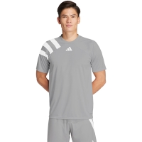 Adidas Fortore 23 men's T-shirt, gray IK5772