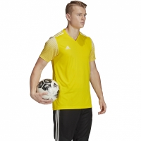 Adidas
men's t-shirt Regista 20 Jersey yellow FI4556