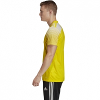 Adidas
men's t-shirt Regista 20 Jersey yellow FI4556