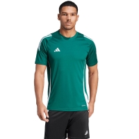 Adidas Tiro 24 Jersey men's T-shirt green IS1017