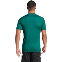 Adidas Tiro 24 Jersey men's T-shirt green IS1017