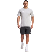 Men's T-shirt adidas Tiro 24 Sweat gray IR9348