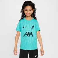 Nike Liverpool Pre Match Away Shirt 2024 2025 Juniors