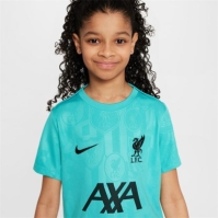 Nike Liverpool Pre Match Away Shirt 2024 2025 Juniors